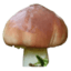 130.61.89.191 icon