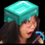 132.145.148.110 icon
