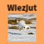 132.145.174.20 icon