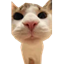 135.181.250.227 icon