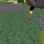 160.251.19.216 icon
