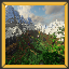 185.206.149.158 icon
