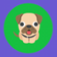 192.99.207.64 icon