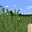 210.131.219.50 icon
