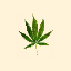 216.183.120.148 icon
