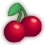 51.75.83.3 icon