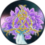 66.70.242.95 icon